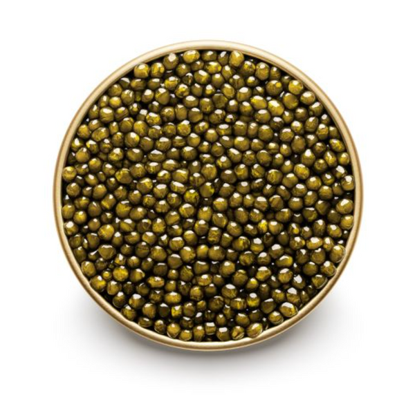 Osetra Caviar