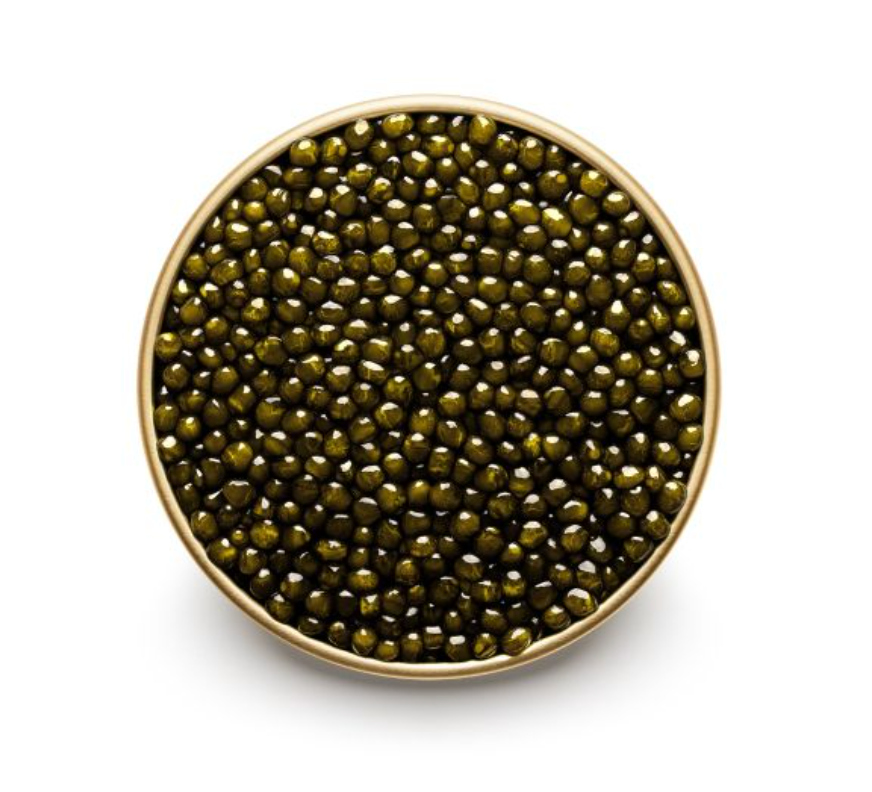 Osetra Sturgeon Caviar