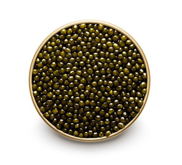 Osetra Sturgeon Caviar